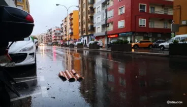 Teja en el suelo de la avenida Alicante