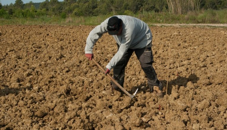 Agricultor