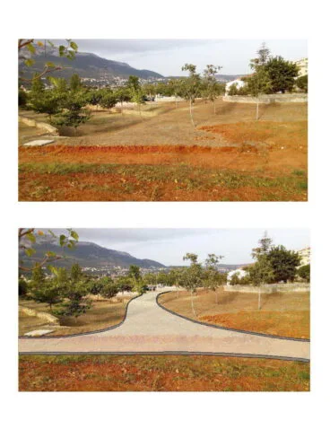 Bosc de diana 3