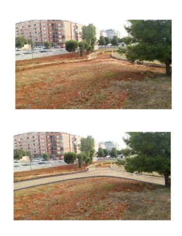 Bosc de diana 5