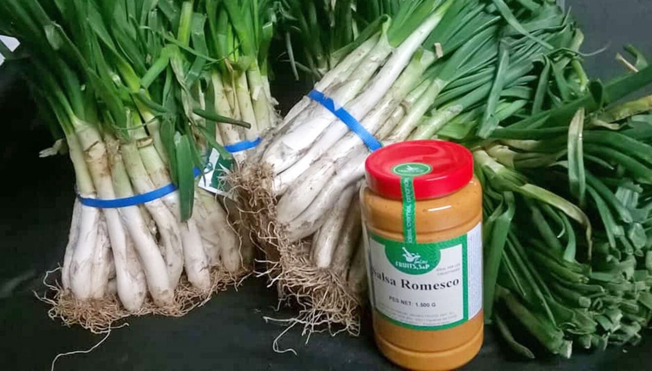 Calçots y salsa romesco - Restaurante Voramar