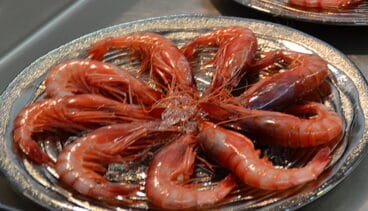 Gamba Roja de Dénia