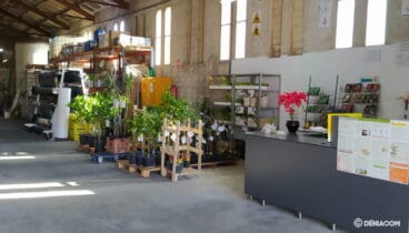 Interior Jaime Mut SL
