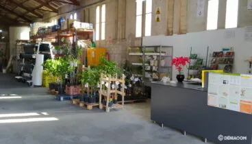Interior Jaime Mut SL