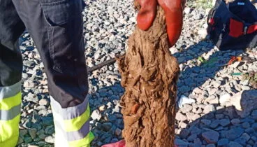 masa toallitas atasco gesdenia