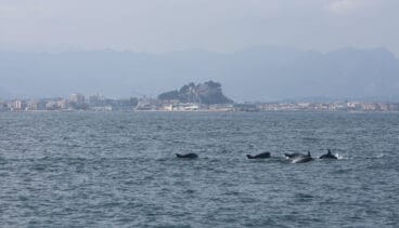 resultado del primer muestreo del litoral de 2020