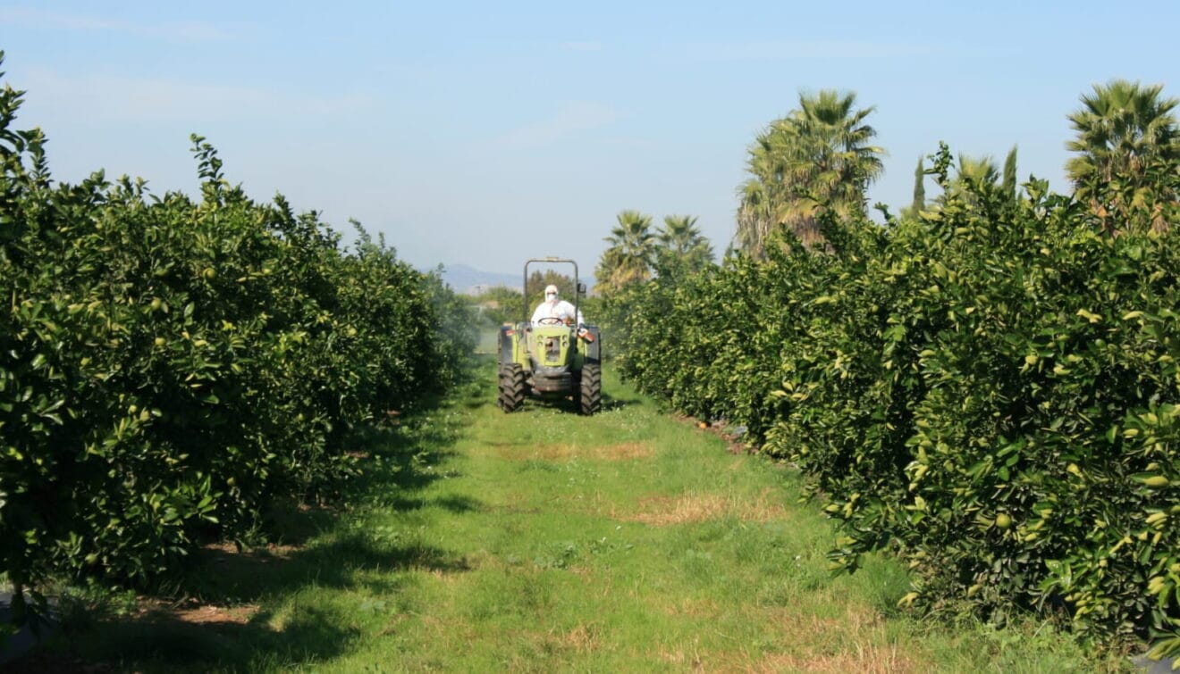Un trabajador con protección para trabajar en el campo