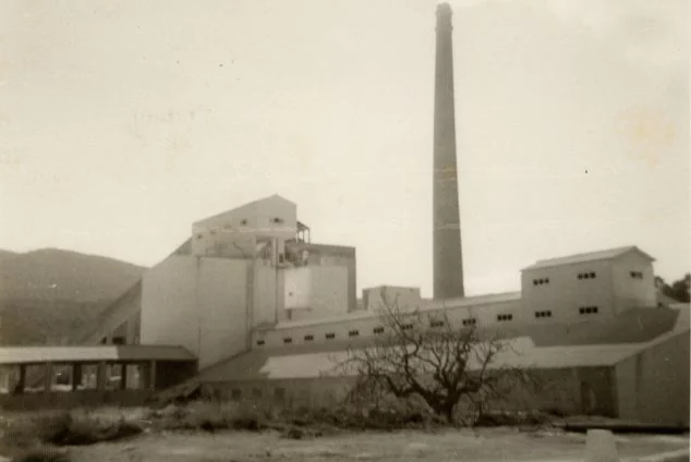 Imagen: Vista de la fábrica del Portland en 1956, recién construida (Fotografía: Carles Doménech)