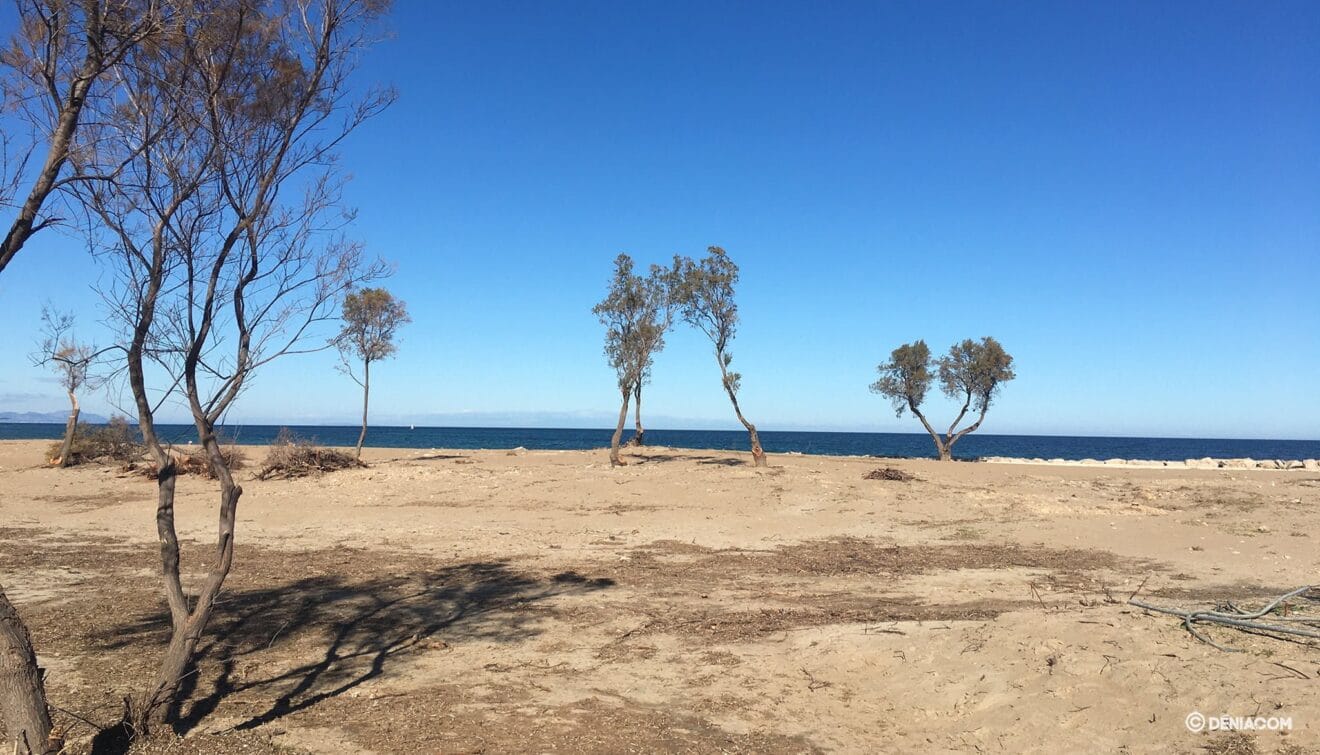 Así se ve ahora el lugar