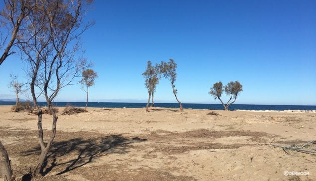 Imagen: Así se ve ahora el lugar