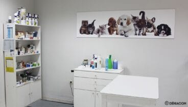 Interior de Clínica Veterinaria El Saladar
