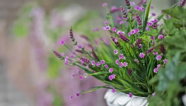 Flores y plantas para conectar con la naturaleza y sentirte bien, un mensaje de Natura Garden 1 Imagen: Detalle de planta natural - Natura Garden