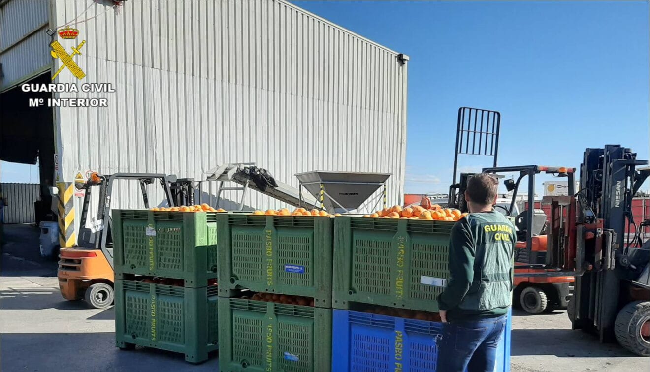 Naranjas requisadas Equipo ROCA