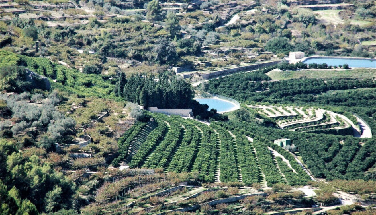 Agricultura comarcal