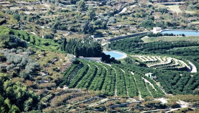 Imagen: Agricultura comarcal