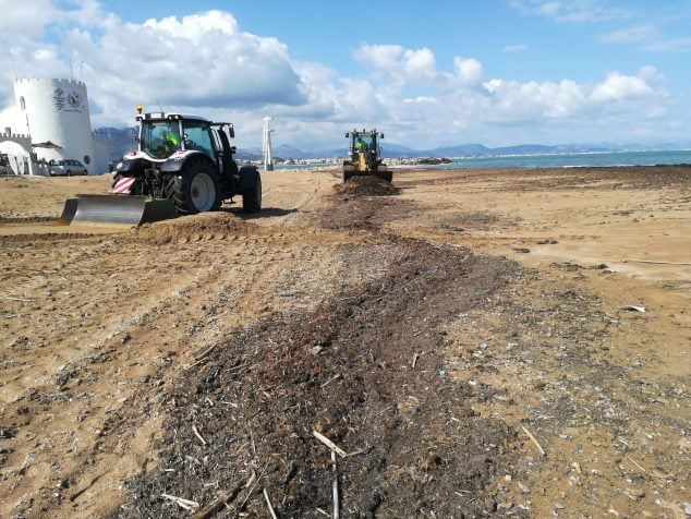 Imagen: Tareas de limpieza de playas en Dénia hace unas semanas