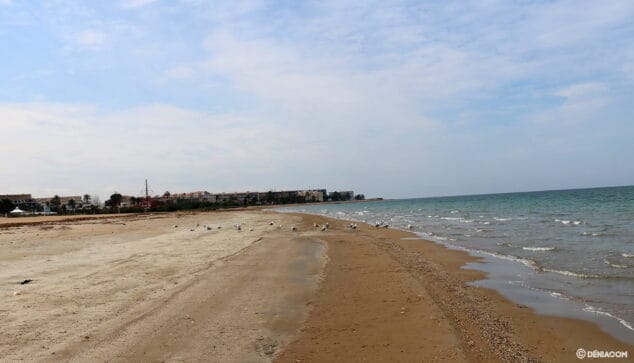 Imagen: Playa Punta del Raset durante el estado de alarma