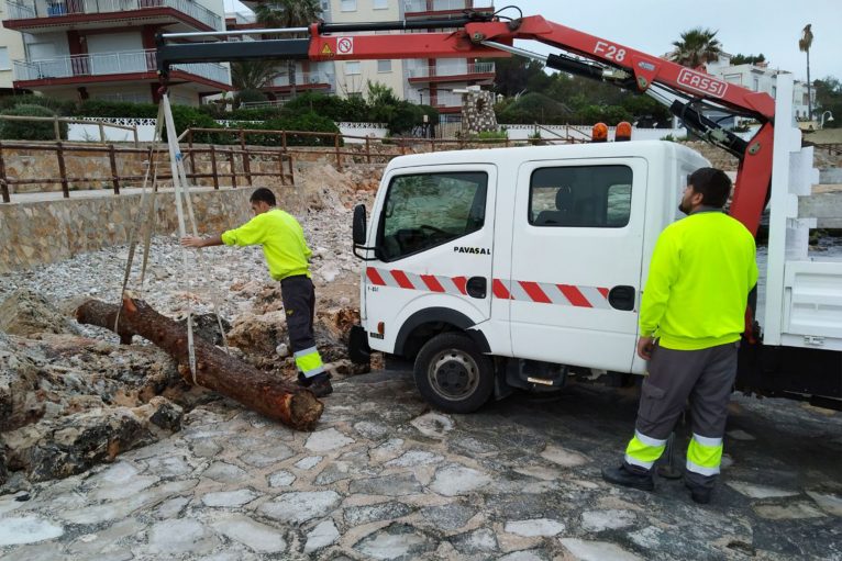Operarios trabajando en el acondicionamiento de las playas de Dénia para la temporada que está a punto de empezar