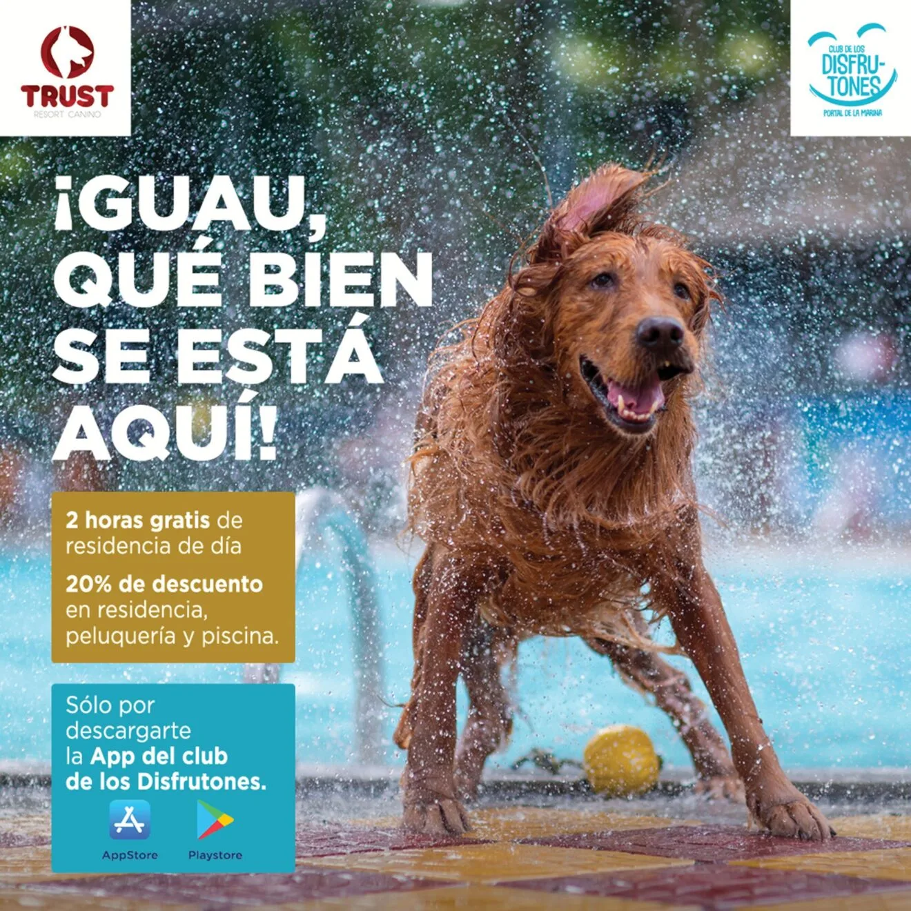 Colaboración entre Portal de la Marina y Trust Resort Canino