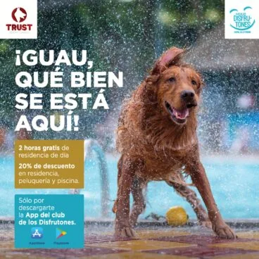 Colaboración entre Portal de la Marina y Trust Resort Canino