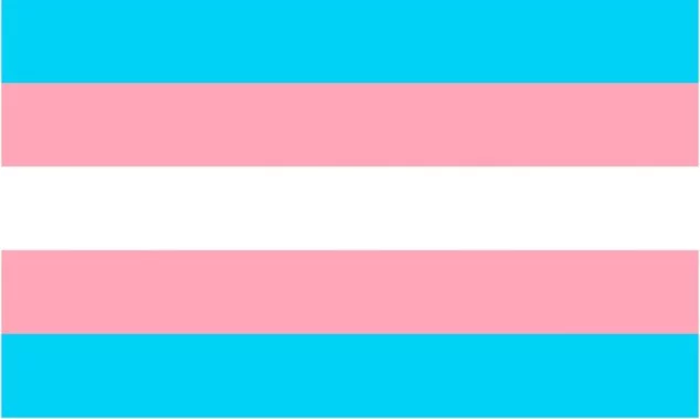 Imagen: La bandera trans ondeará por primera vez en el ayuntamiento