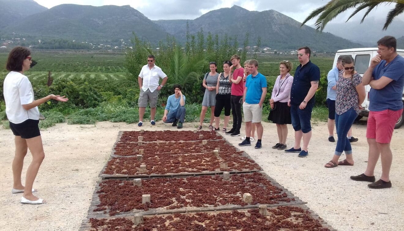 Programa Descobreix el paisatge de la Oficina de la Innovació