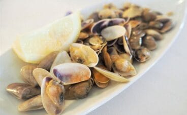 Tellinas – Restaurant Noguera