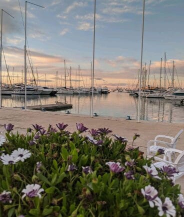 Imagen del atardecer en el exterior de Restaurante Balandros