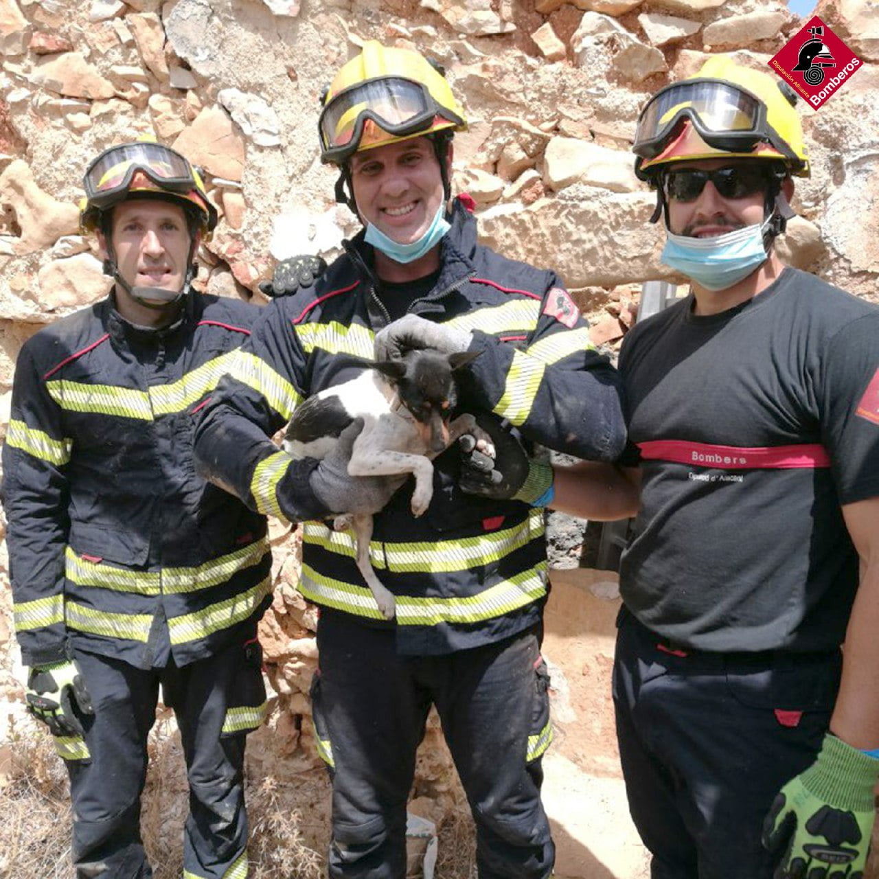 Bomberos con el can rescatado