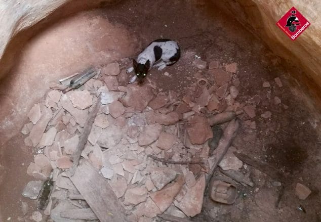 Imagen: El perro en el interior del pozo