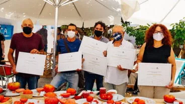 Ganadores del concurso La millor tomaca de la Marina
