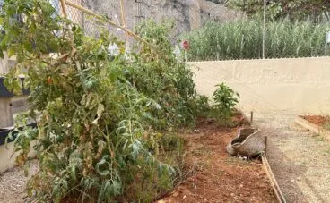 Huerto en CEI El Castellet