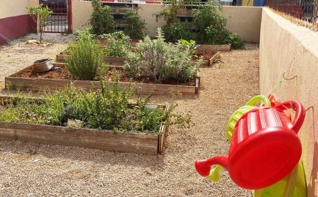 Matrícula abierta y bono de ayudas hasta el 23 de julio en CEI El Castellet 3 Imagen: Huerto para los niños y cuidado por ellos - CEI El Castellet