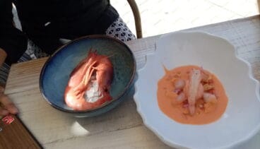 Das Cover von Fernando Gonzalez, das Denia darstellt