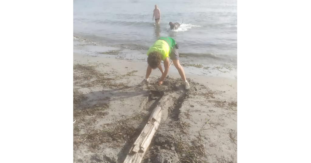 Limpieza de la playa canina de Dénia