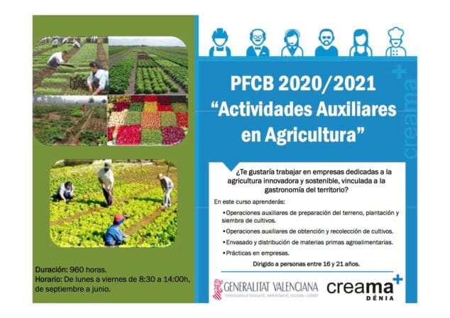 Imagen: Programa de formación sobre agricultura