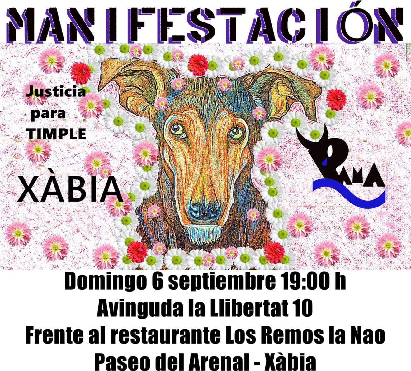 Manifestación por Timple en Xàbia