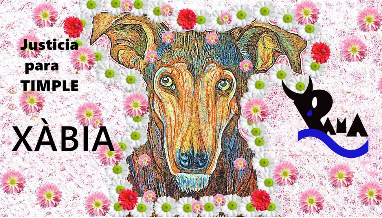 Portada manifestación por Timple en Xàbia copia