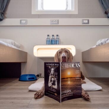 camarote petfriendly en balearia