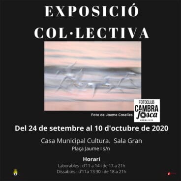 Cartel cambra fosca