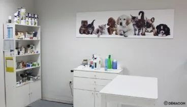clinica veterinaria el saladar interior