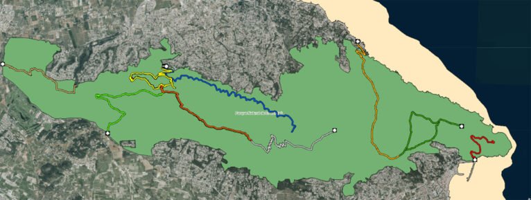 La línea azul marca el trayecto por el Camí de la Colònia hasta la Cova del Gamell (Fuente: Institut Cartogràfic Valencià)