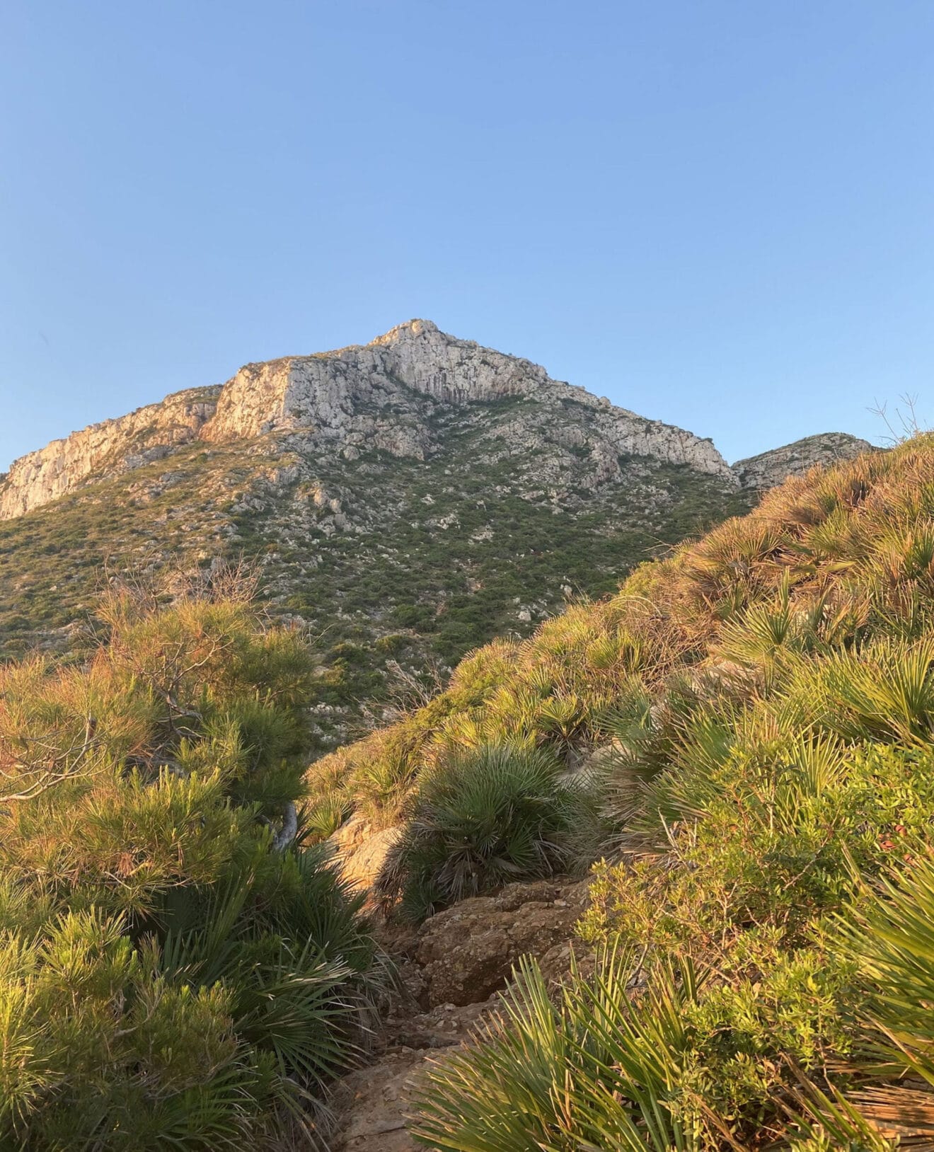 Sendero de acceso a la Cova Tallada desde Dénia