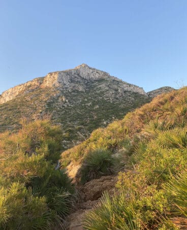 Sendero de acceso a la Cova Tallada desde Dénia