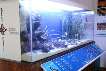 Parte de la exposición del Centro de Intepretación del Parque Natural dedicada a la Reserva Marina del Cabo de San Antonio