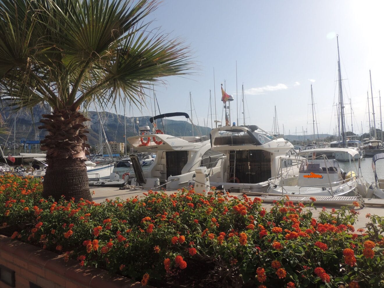 Paseo en Marina de Dénia