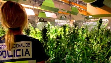 portada incautacion marihuana