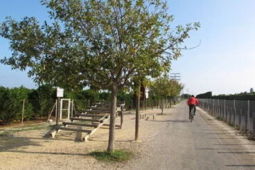 Ciclista por la Via Verda de Dénia