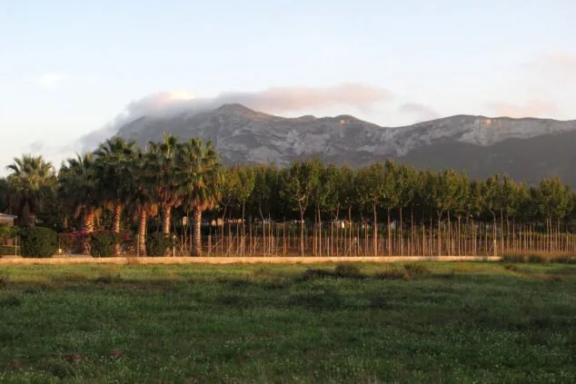 el montgo al lado de la via verda de denia