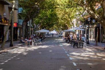 terrazas en marques de campo
